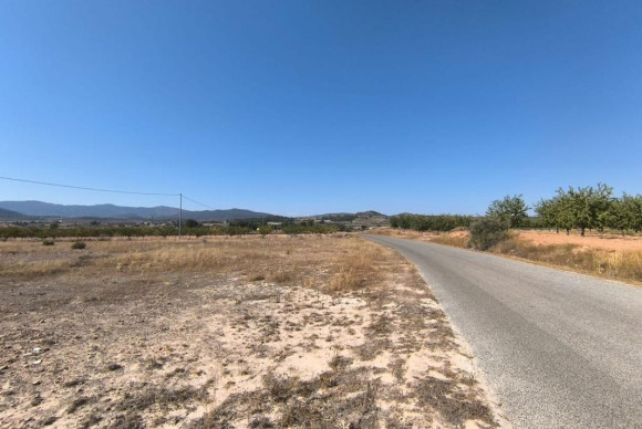 Resale - land - Pinoso