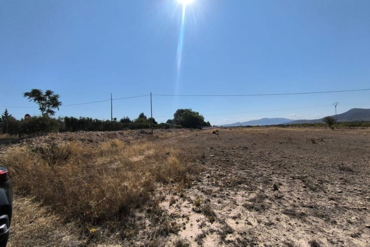 Resale - land - Pinoso