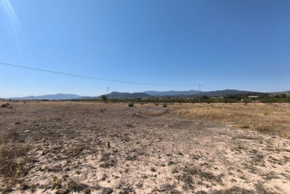 Resale - land - Pinoso