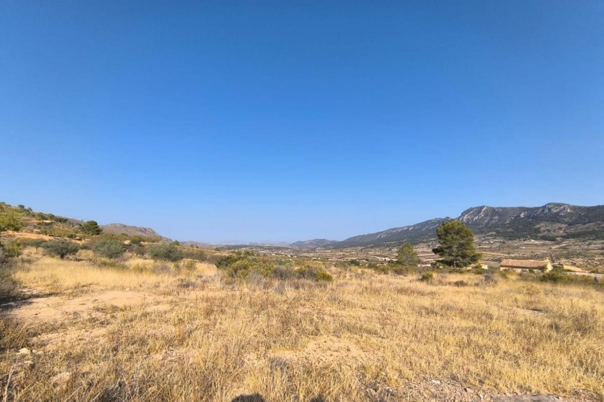 Resale - land - Algueña