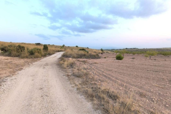 Revente - land - Pinoso