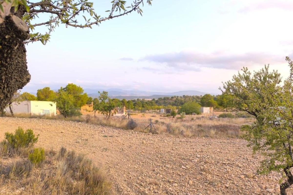 Resale - land - Pinoso