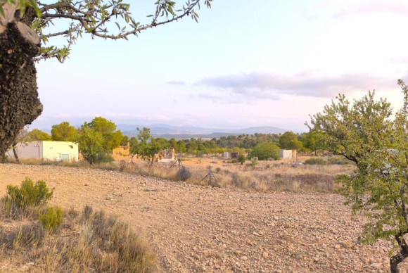Resale - land - Pinoso
