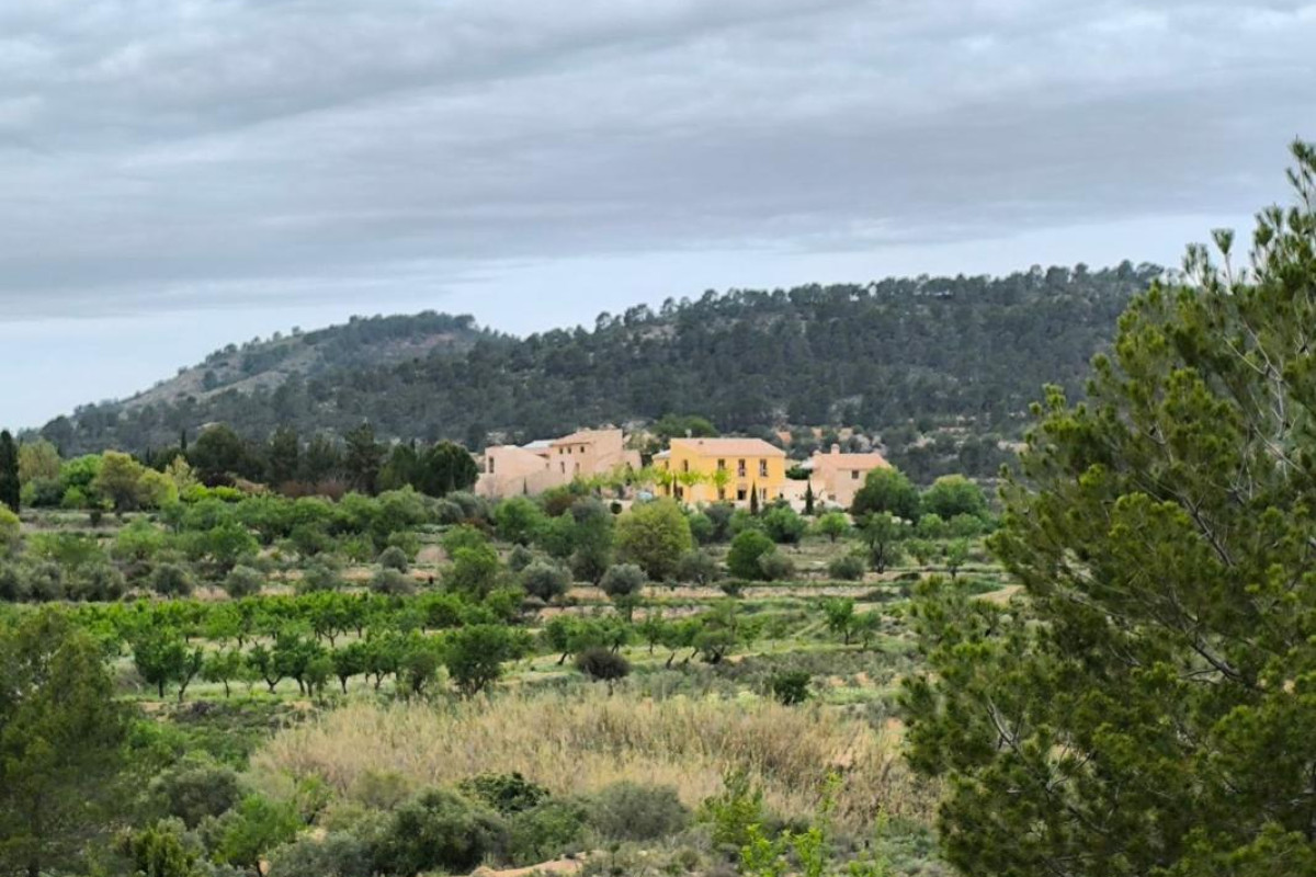 Revente - Country House - Monovar