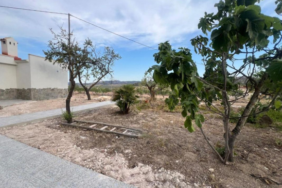 Revente - casas - Algueña