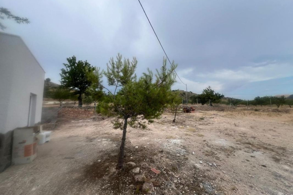 Revente - casas - Algueña