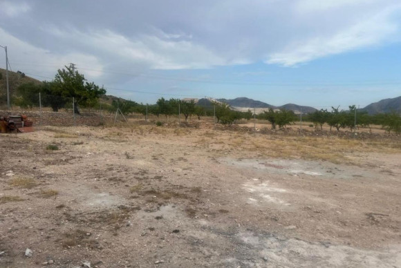 Revente - casas - Algueña