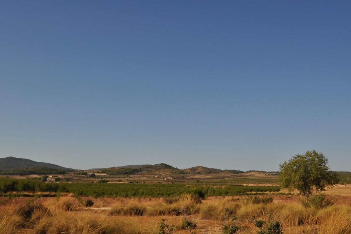 Resale - Villa - Pinoso