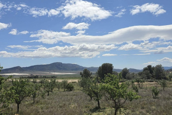 Revente - Villa - Monovar