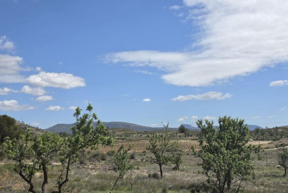 Revente - Villa - Monovar