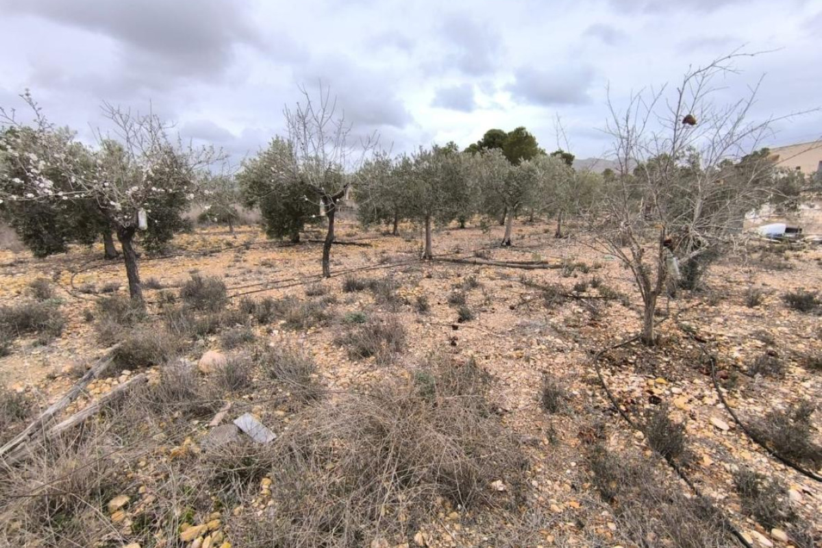 Revente - Country House - La Romana