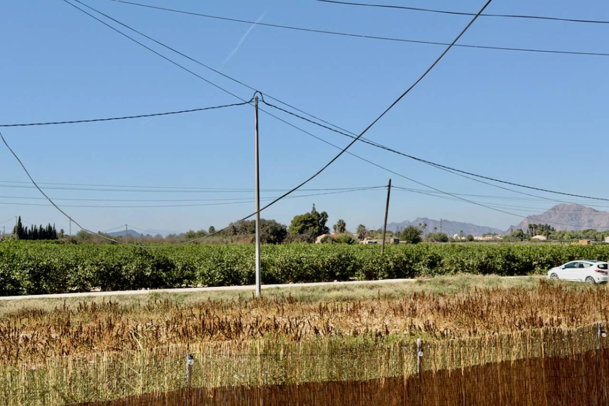 Revente - Finca / Country Property - Dolores
