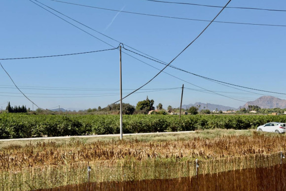 Revente - Finca / Country Property - Dolores