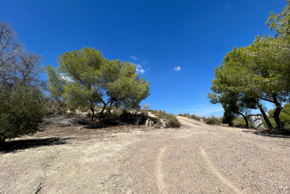 Reventa - Country Property/Finca - Torremendo