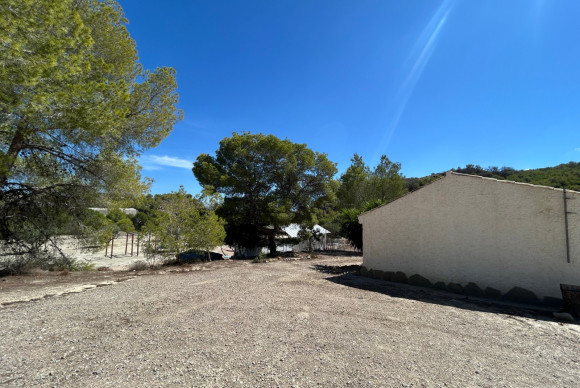 Reventa - Country Property/Finca - Torremendo