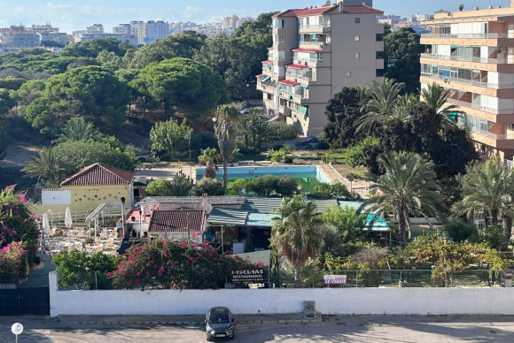 Herverkoop - Studio - Guardamar del Segura - Lomas de Polo-Pinomar