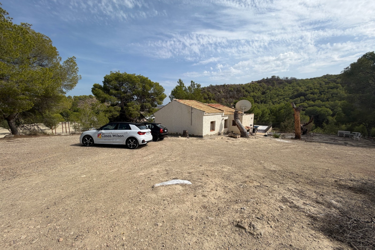 Reventa - Country Property/Finca - Torremendo