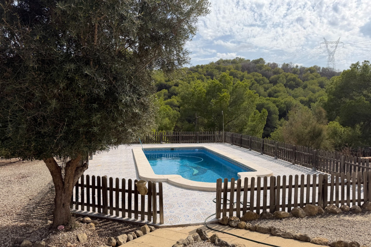 Reventa - Country Property/Finca - Torremendo
