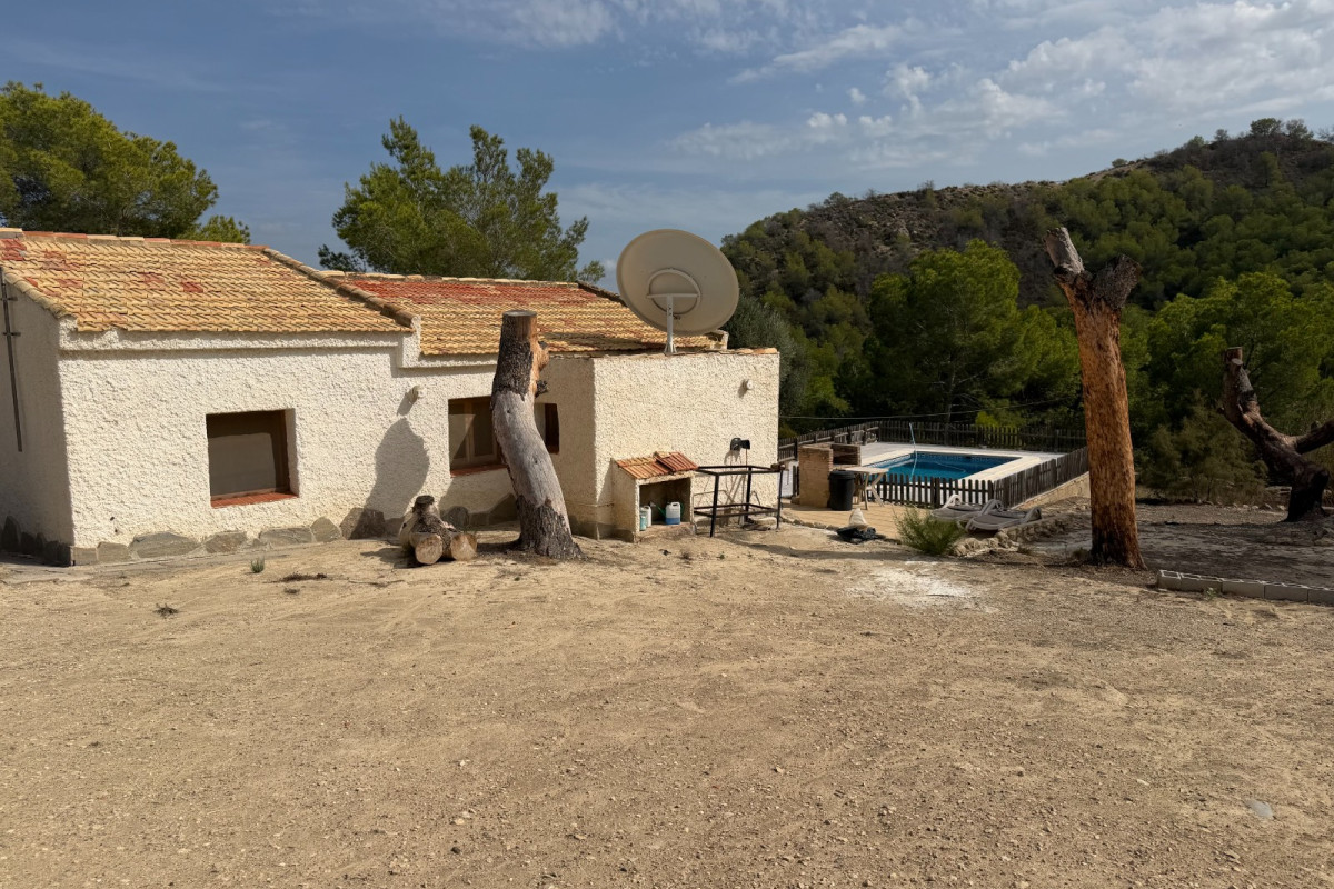 Reventa - Country Property/Finca - Torremendo