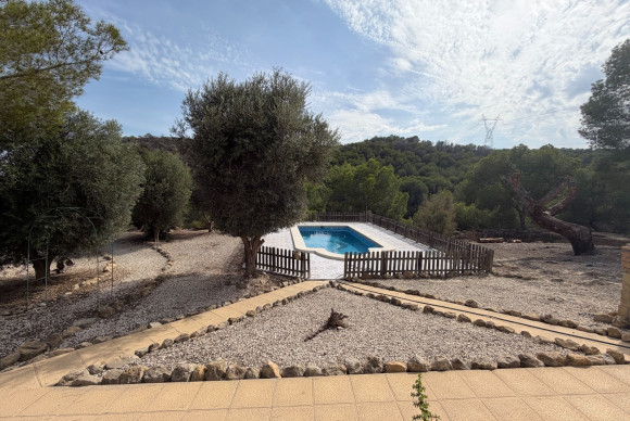 Reventa - Country Property/Finca - Torremendo