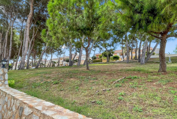 Reventa - Apartamento / piso - Mil Palmeras