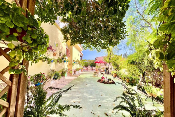 Resale - Villa - Daya Vieja