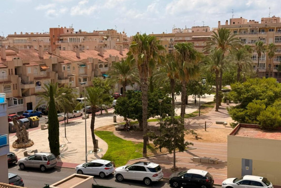 Revente - Appartement - Torrevieja - torrevieja