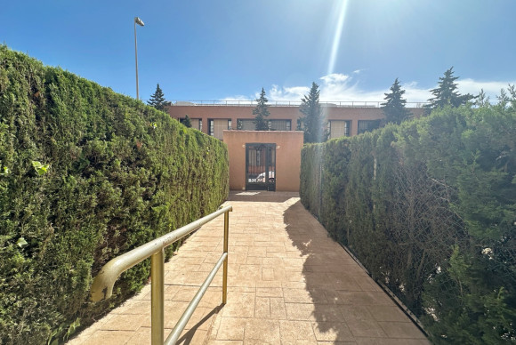 Revente - Appartement - Torrevieja - Torrevieja - Centre