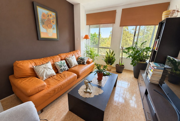 Revente - Appartement - Pilar de La Horadada - Pilar de La Horadada - Town
