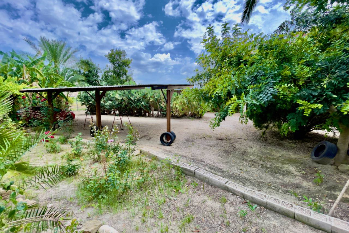 Resale - Finca / Country Property - Orihuela Costa - Orihuela