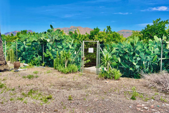 Resale - Finca / Country Property - Orihuela Costa - Orihuela
