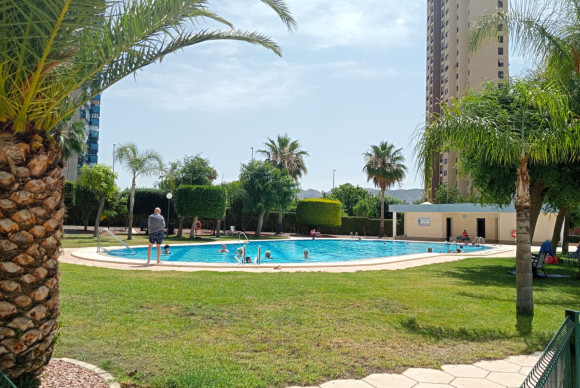 Herverkoop - Apartment / flat - Benidorm - Levante