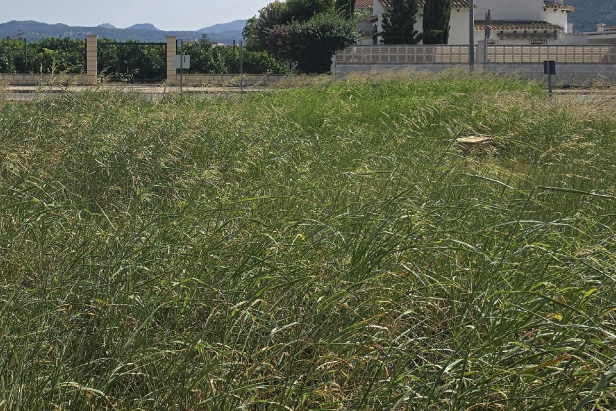 Reventa - Parcela / Terreno - Els Poblets