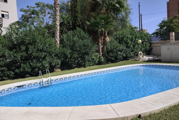 Herverkoop - Apartment / flat - Benidorm - Zona de Poniente