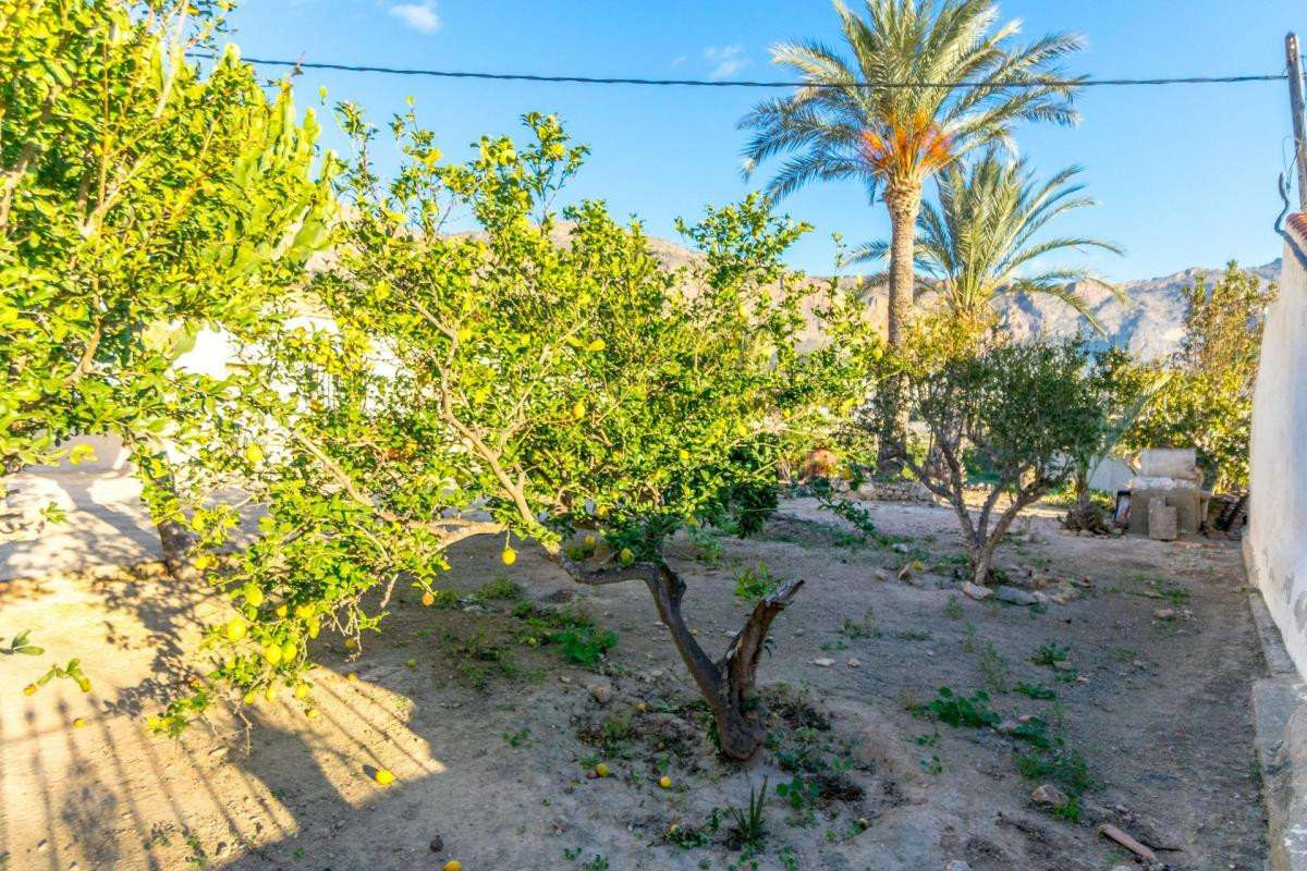 Revente - Country House - Orihuela