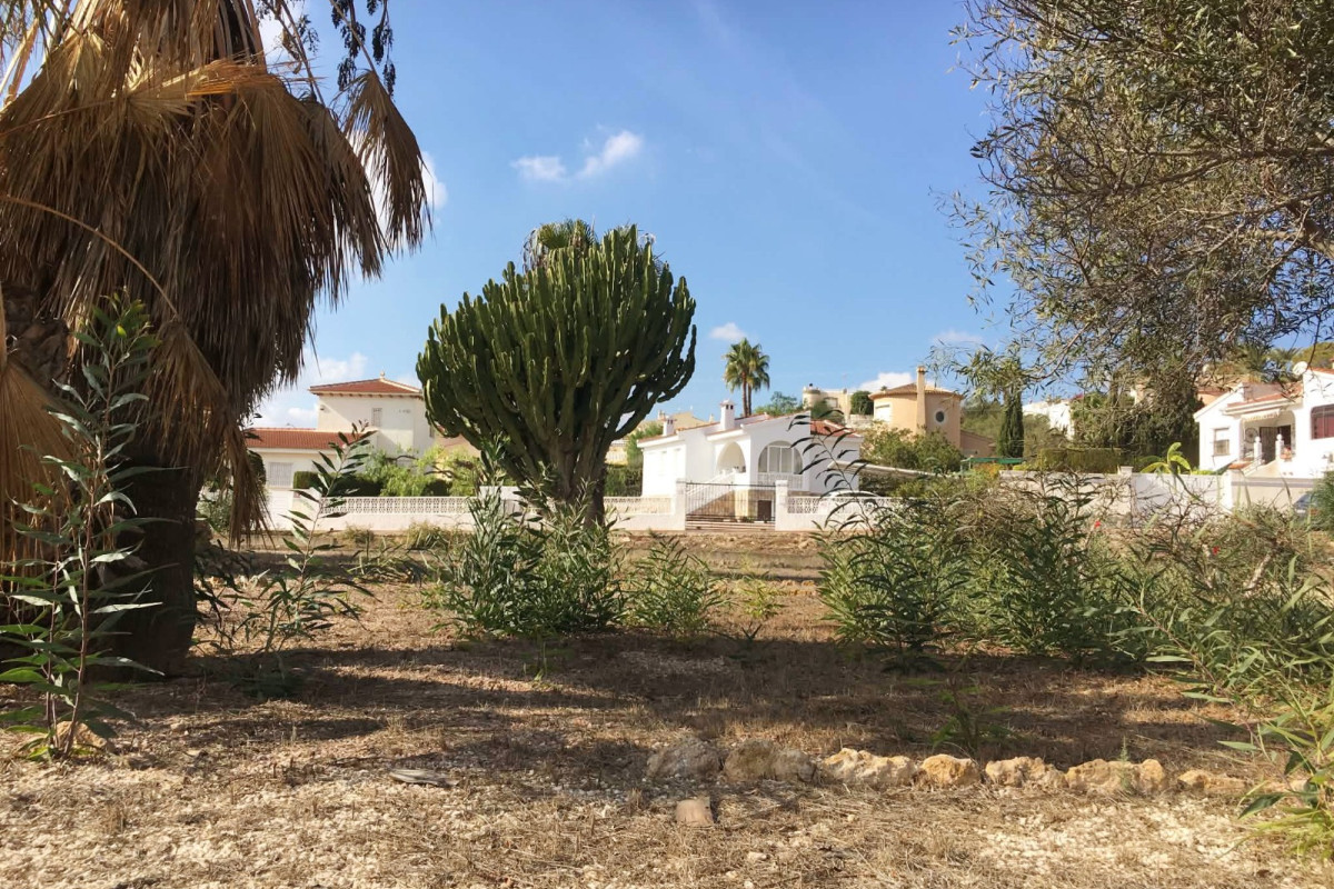 Herverkoop - Vrijstaande Villa - Ciudad Quesada - Central Quesada