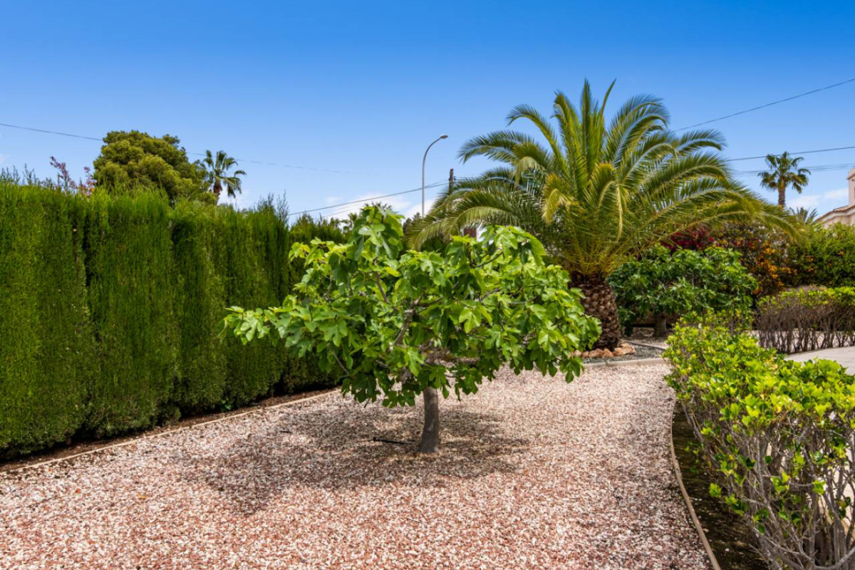 Resale - Villa - Ciudad Quesada