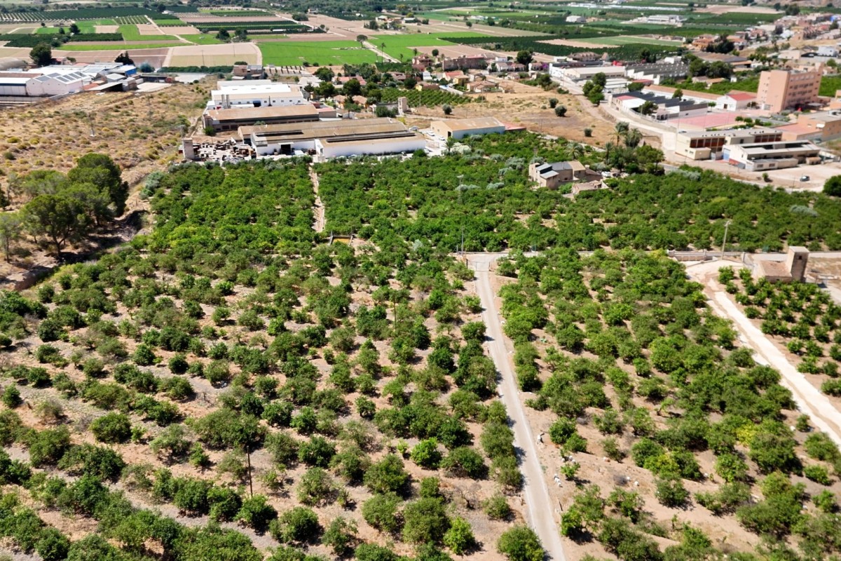 Herverkoop - Landelijke woning - Orihuela - Raiguero de Bonanza