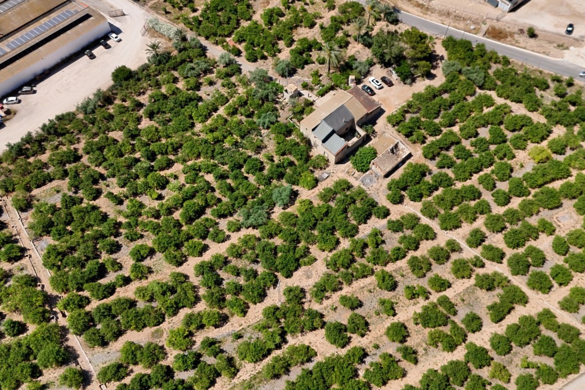 Herverkoop - Landelijke woning - Orihuela - Raiguero de Bonanza