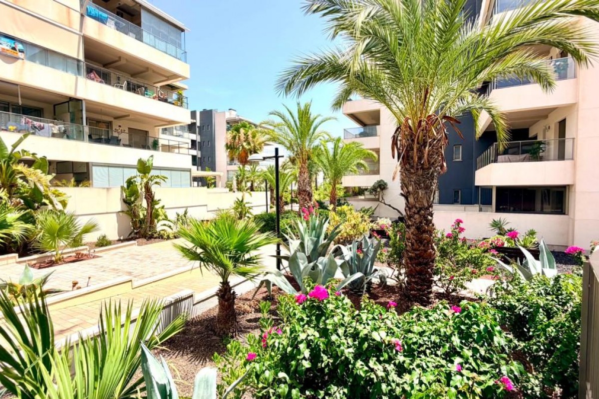 Herverkoop - Appartement  - Orihuela
