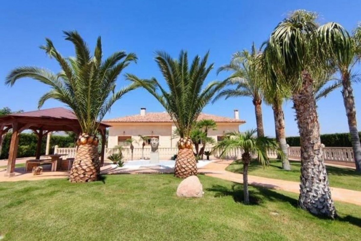 Reventa - casas - Aspe