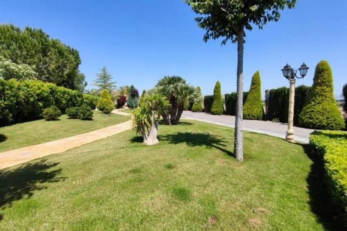 Reventa - casas - Aspe