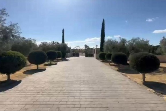 Reventa - casas - Aspe