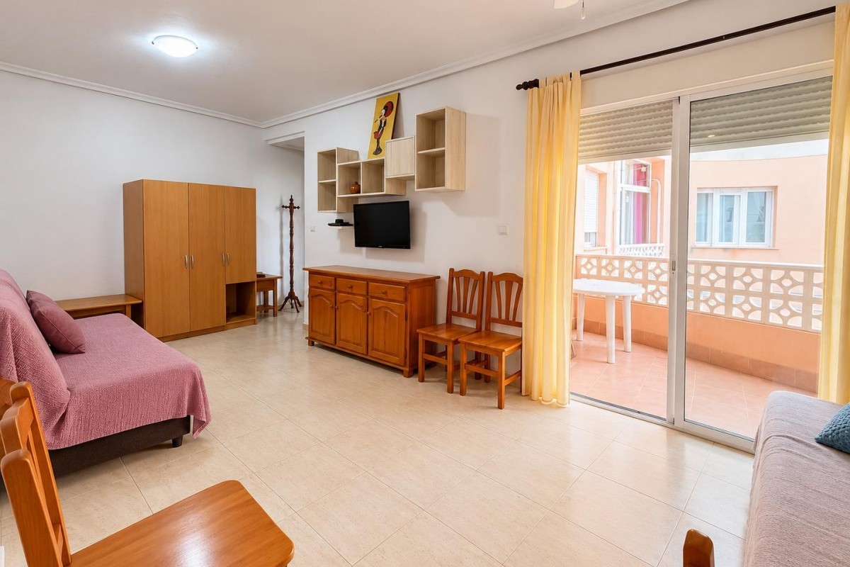 Reventa - Studio - Torrevieja - Estacion de autobuses