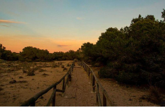 Obra nueva - Villa - LA MARINA - La Marina / El Pinet