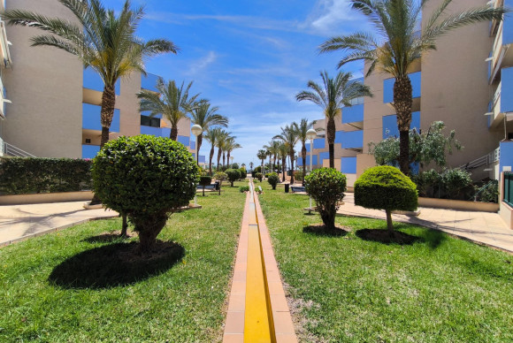 Resale - Apartment  - Orihuela Costa - Agua Marina