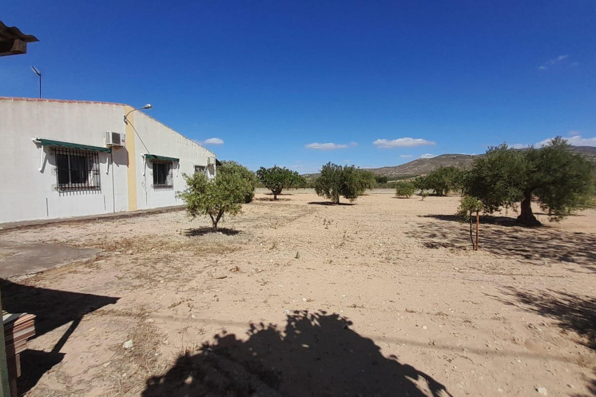 Herverkoop - Landelijke woning - Villena