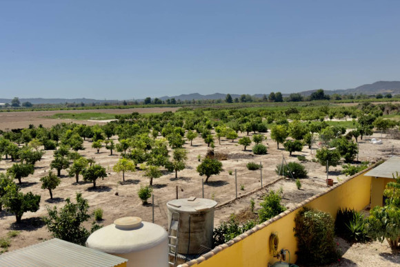 Revente - Finca / Country Property - Orihuela Costa - Orihuela