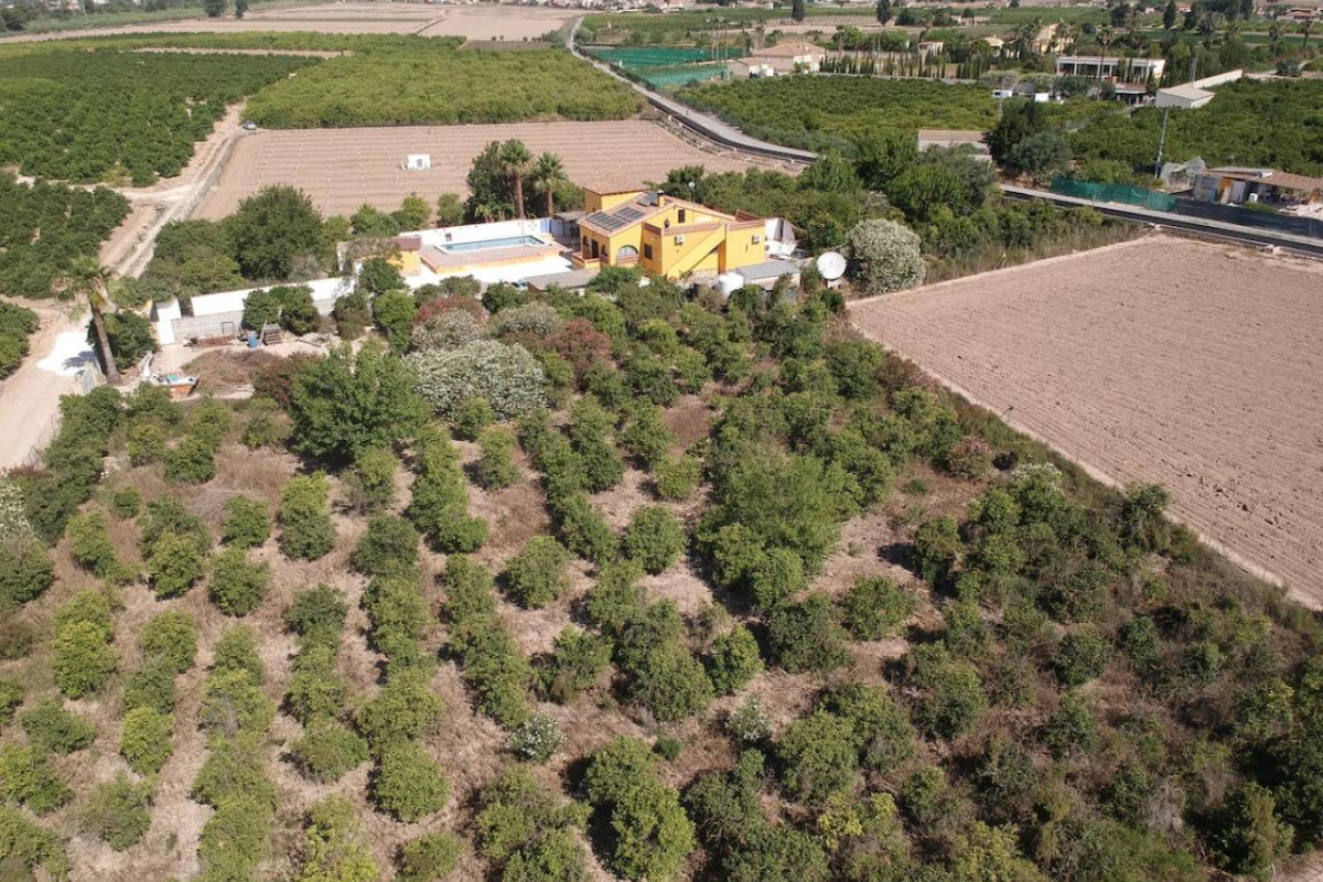 Herverkoop - Landelijke Woning-Finca - Orihuela Costa - Orihuela