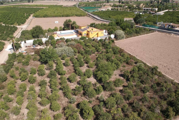 Herverkoop - Landelijke Woning-Finca - Orihuela Costa - Orihuela